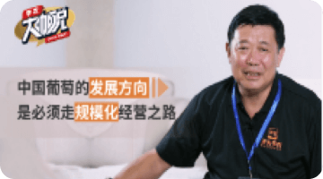 中国通常的发展方向 是必须走规；