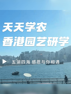 与香港园艺学会结合进行香港园艺研学，专业园境师带队解说。