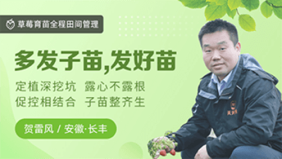 多发子苗，发好苗